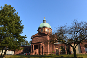 Der Südfriedhof – Friedhof zwischen Ökosystem, Weltreligionen & einzigartigen Erfindungen