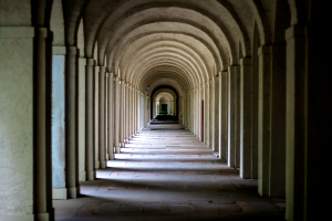 Foto@Friedhof – Fototour über den Hauptfriedhof im Wandel der Jahreszeiten